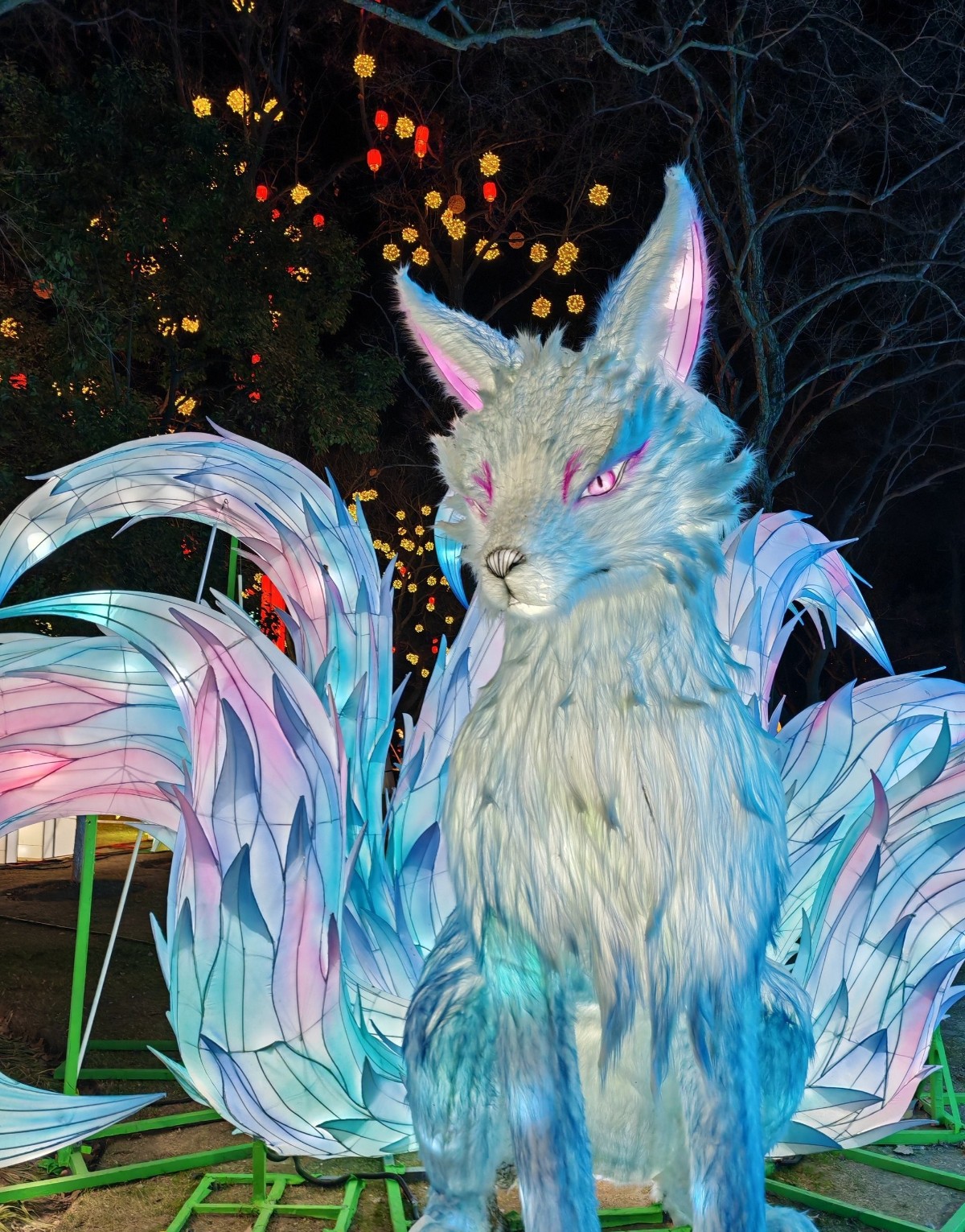 很多人打卡 小狼看不出好在哪.jpg